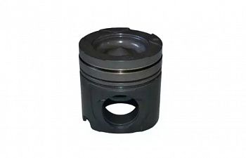 «Поршень DM 1004011-81D ОЕМ» – №1