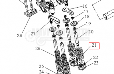 «Пружина впусного/выпускного клапана 1007021-81D» – №1