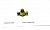 1305010-29d-kran-slivnoy-faw-fav-4847809_big